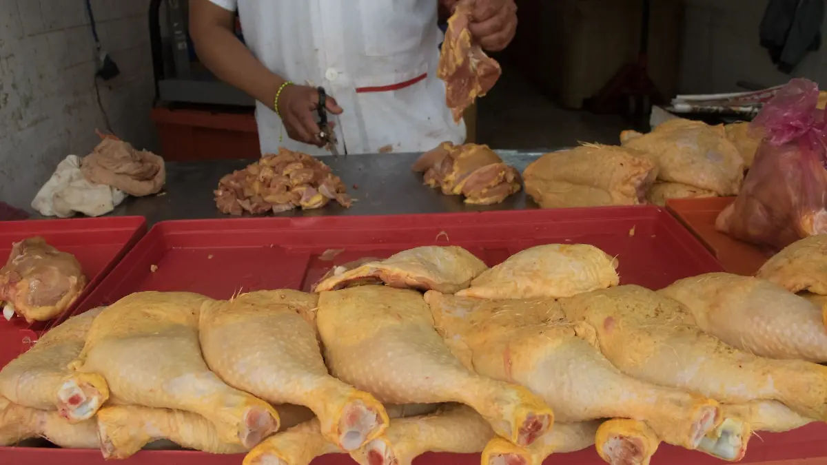 Pollería curso de verano 